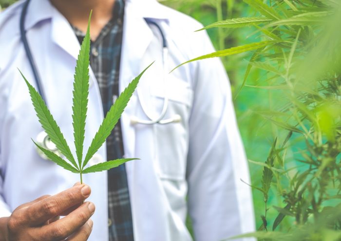 orvosi kannabisz